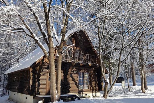 White Tree Lodge Tangram Madarao